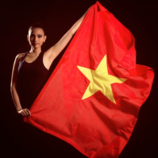 [Freeship Đơn Từ 99k]  Cờ Việt Nam 0.8x1m2