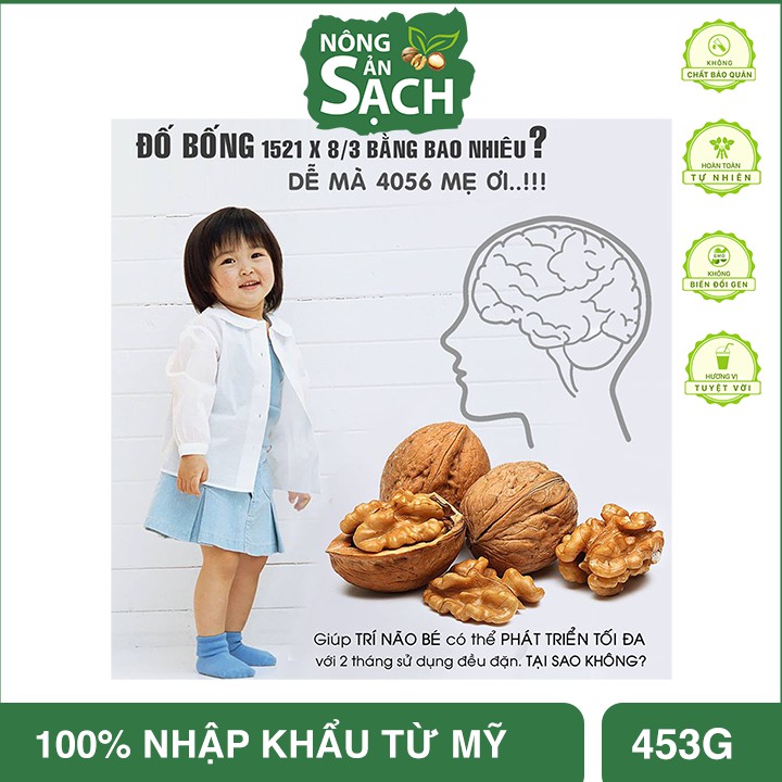 HẠT ÓC CHÓ NHẬP KHẨU MỸ 100% 500g