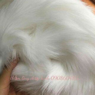 Thảm lông chụp hình mẫu trắng hồ ly, thảm lông trắng, thảm lót bàn trang điểm, thảm sàn sunyshop