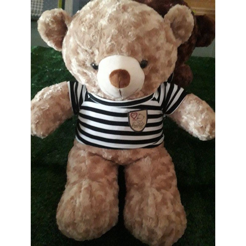 Gấu Bông Teddy Khổ Vai 60cm cao 40cm Dễ Thương