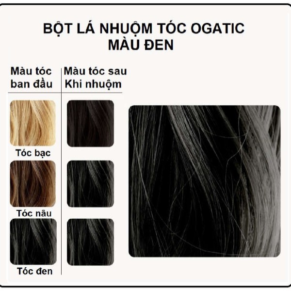 Bột lá nhuộm tóc Thiên nhiên Ogatic - Màu Đen