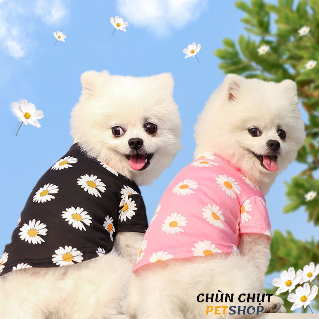 Áo thun cho Chó Mèo xuân hè - Hoạ tiết hoa siêu dễ thương ChunChut PetShop