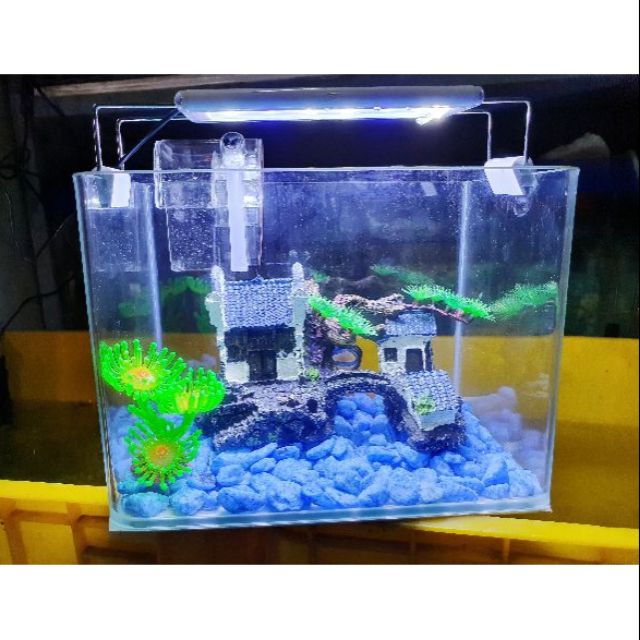 COMBO HỒ CÁ TRANG TRÍ SẴN 26x17x19cm 690