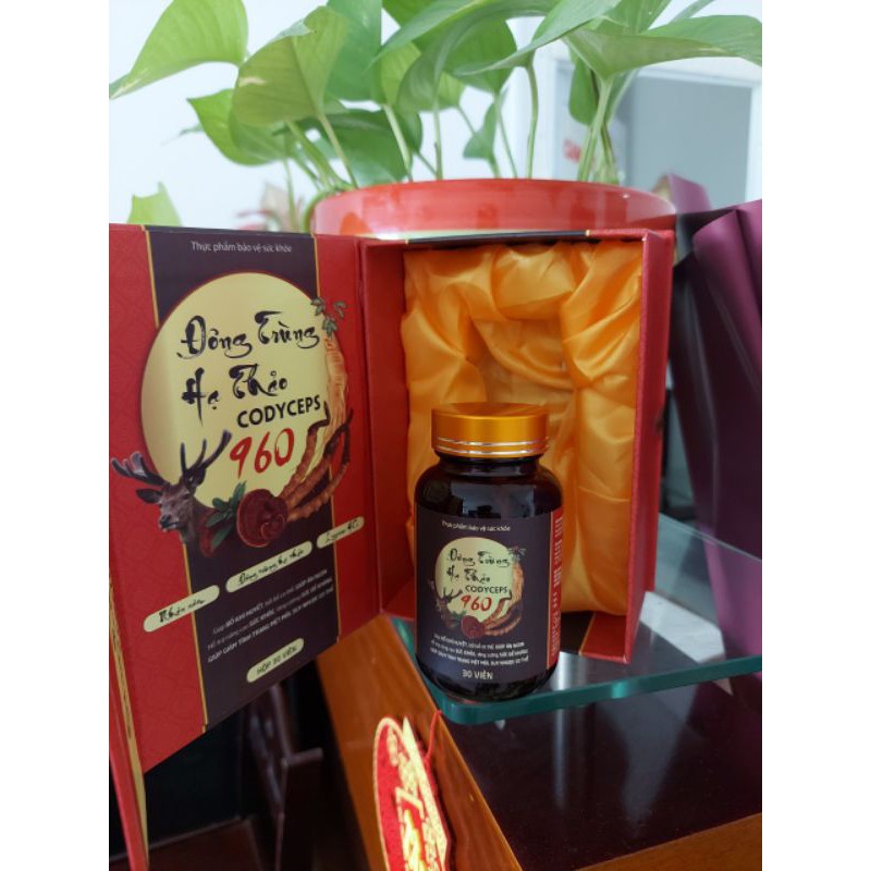 Đông Trùng Hạ Thảo codyceps 960 | BigBuy360 - bigbuy360.vn
