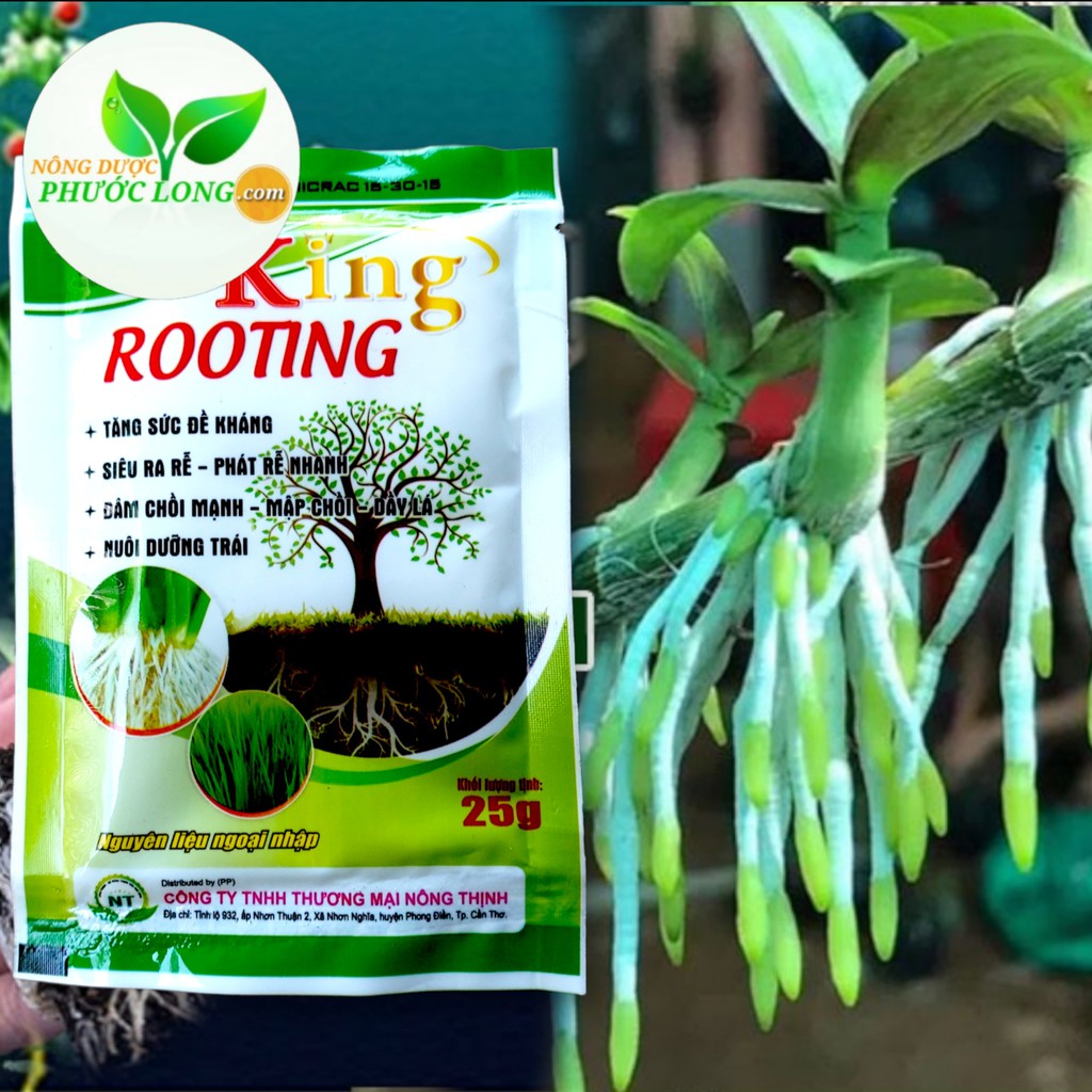 [Trùm Rễ] Phân Bón Lá ROOTING Siêu Ra Rễ 25gr, Phát Đọt Nhanh, Mập Chồi, Dày Lá, Siêu Tăng Trưởng Cho Cây Trồng Của Bạn