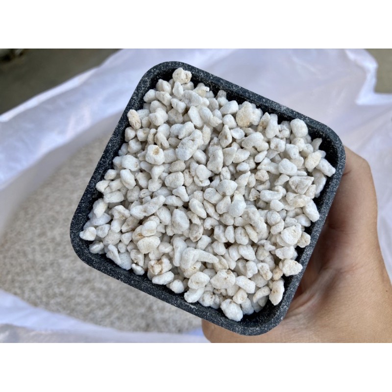 1kg Đá Perlite Namix 4~8mm