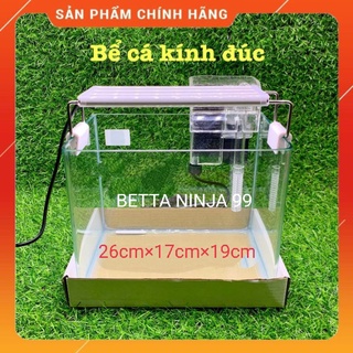 Bể Cá Kính Đúc Để Bàn, - Bể Mini - HỒ ĐÚC MINI ĐỂ BÀN