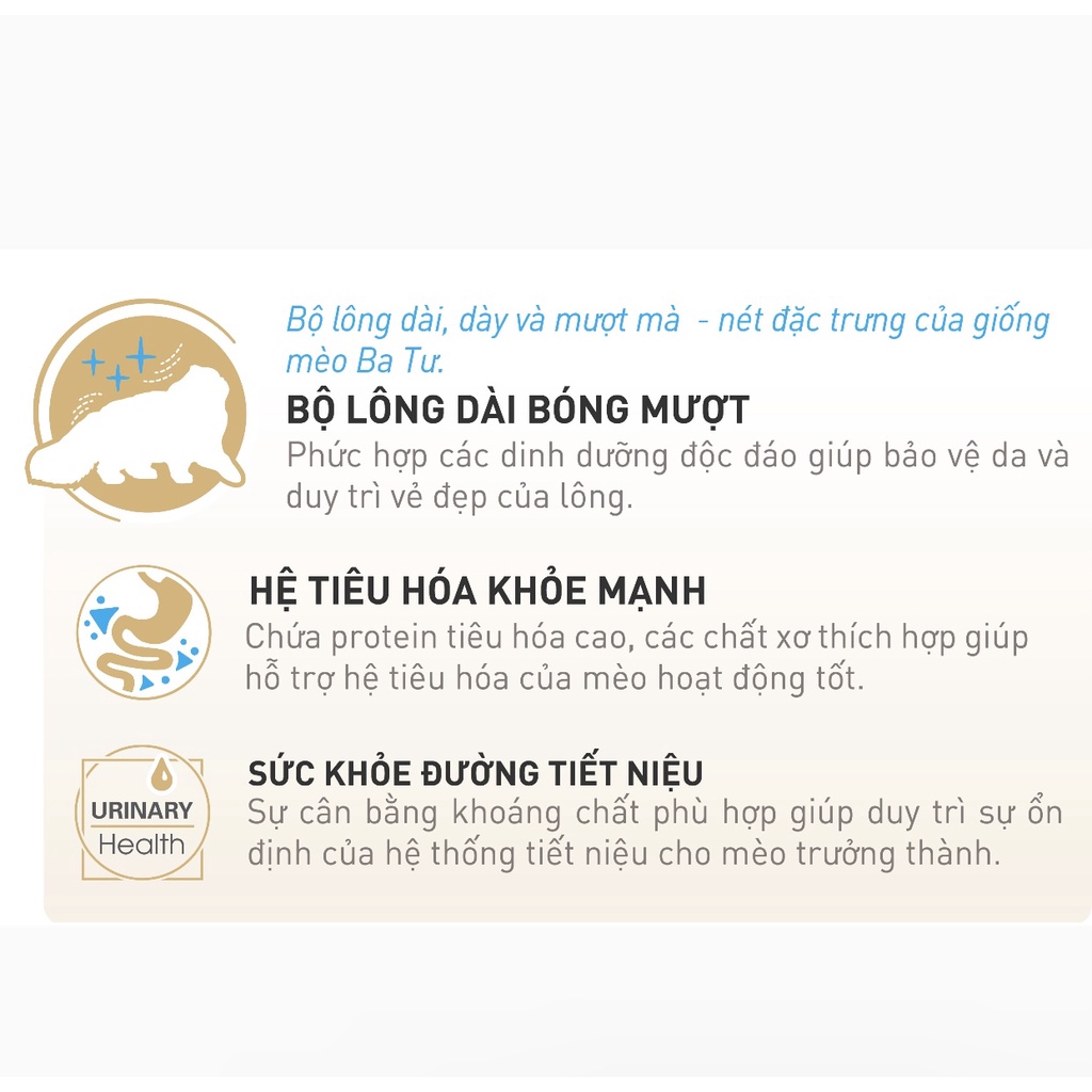 Thức ăn dạng hạt cho mèo Anh lông dài  Royal Canin - PetMall