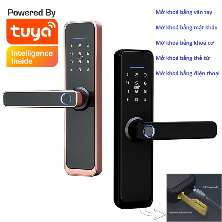 Khoá cửa thông minh Tuya mở khoá vân tay, thẻ từ, mật khẩu, chìa cơ và phần mềm Tuya Smart