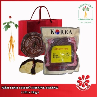Nấm Linh Chi Đỏ Phượng Hoàng Hàn Quốc - 1kg