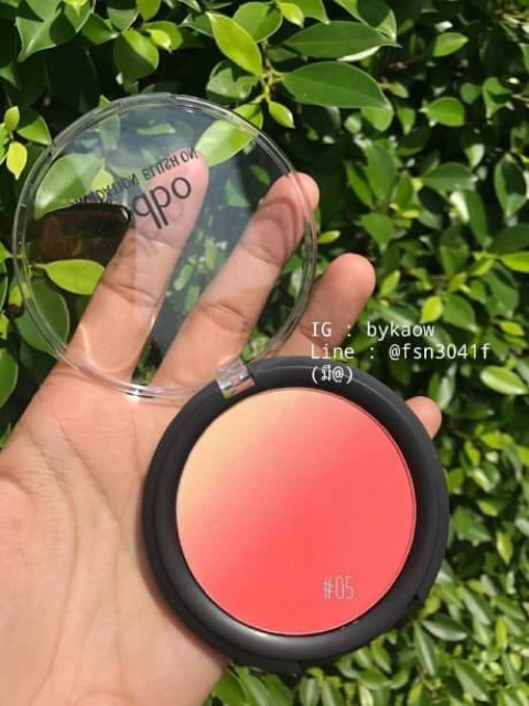 Phấn má Odbo Thailand toàn màu xinh lung linh | BigBuy360 - bigbuy360.vn