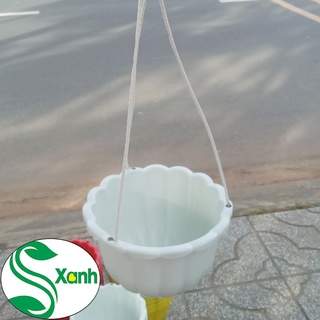 Chậu trồng cây treo size lớn