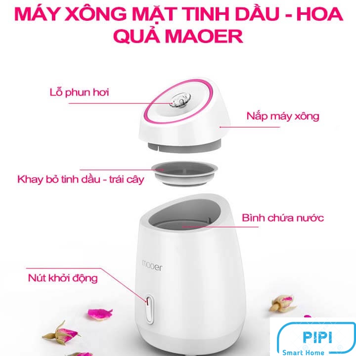 Máy xông mặt hoa quả tươi tự động 2 in 1 MAOER [Tặng Tinh Dầu]  Máy xông hơi mặt thảo dược chính hãng