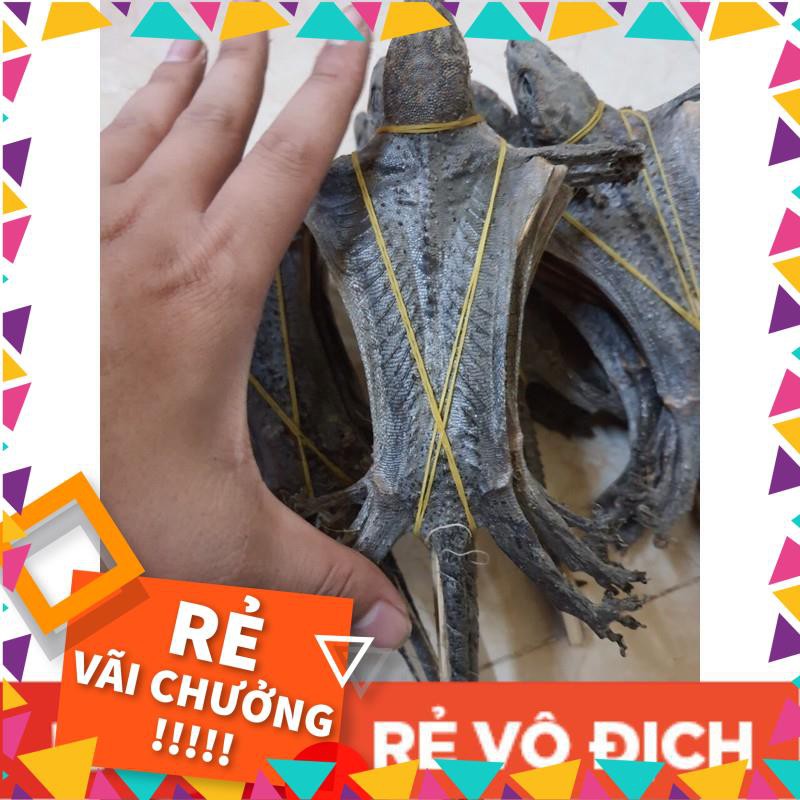 Tắc kè khô (1 con) | BigBuy360 - bigbuy360.vn