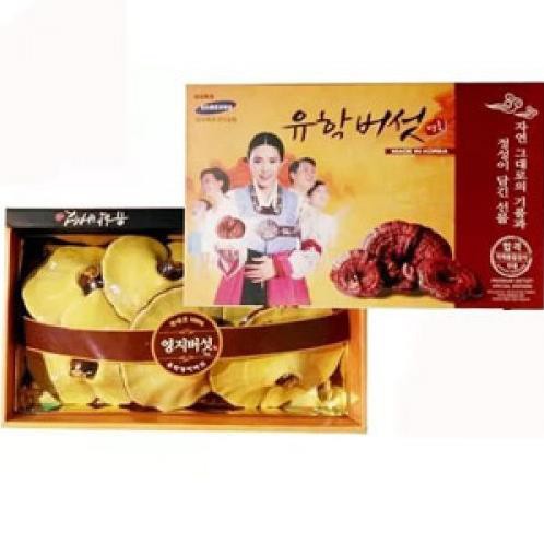 Sâm Hoàng Diệu - GIÁ SỐC: HỘP NẤM LINH CHI ĐỎ HÀN QUỐC HỘP CÔ GÁI 1KG