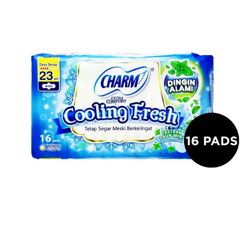 Bộ 16 Miếng Dán Làm Mát Hình Đôi Cánh 23Cm