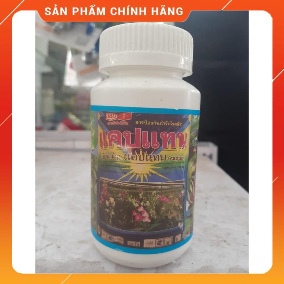 Thuốc Captan đặc trị bệnh thối nhũn vàng lá trên lan nhập khẩu trực tiếp từ Thái Lan.