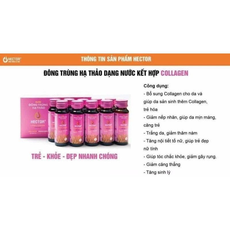 Nước đông trùng hạ thảo Hector Collagen | Thế Giới Skin Care