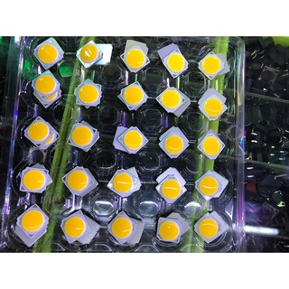 [VN] Nhân led 36v-10w COB