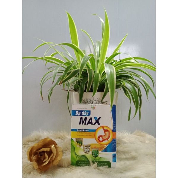 (Chính hãng) Gói hỗ trợ giảm đau dạ dày tức thì đau rát bao tử đầy hơi ợ chua Dạ Dày MAX
