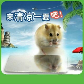 Miếng tản nhiệt cho hamster