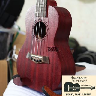  Đàn Ukulele Concert gỗ 23 inch Atenis Hồng Đào Bắc Phi