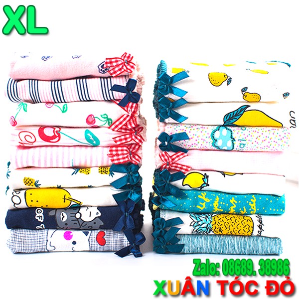 SỈ ZALO RẺ HƠN NHIỀU_ Quần Lót 18 Kiểu Mèo Mập Hoa Quả SIZE TO XL