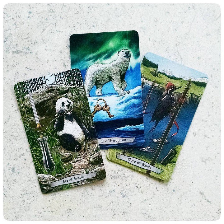 Bộ bài animal totem tarot tặng kèm đá thanh tẩy và hướng dẫn tiếng việt