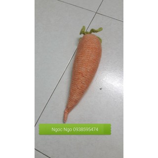 Củ Cà rốt 🥕