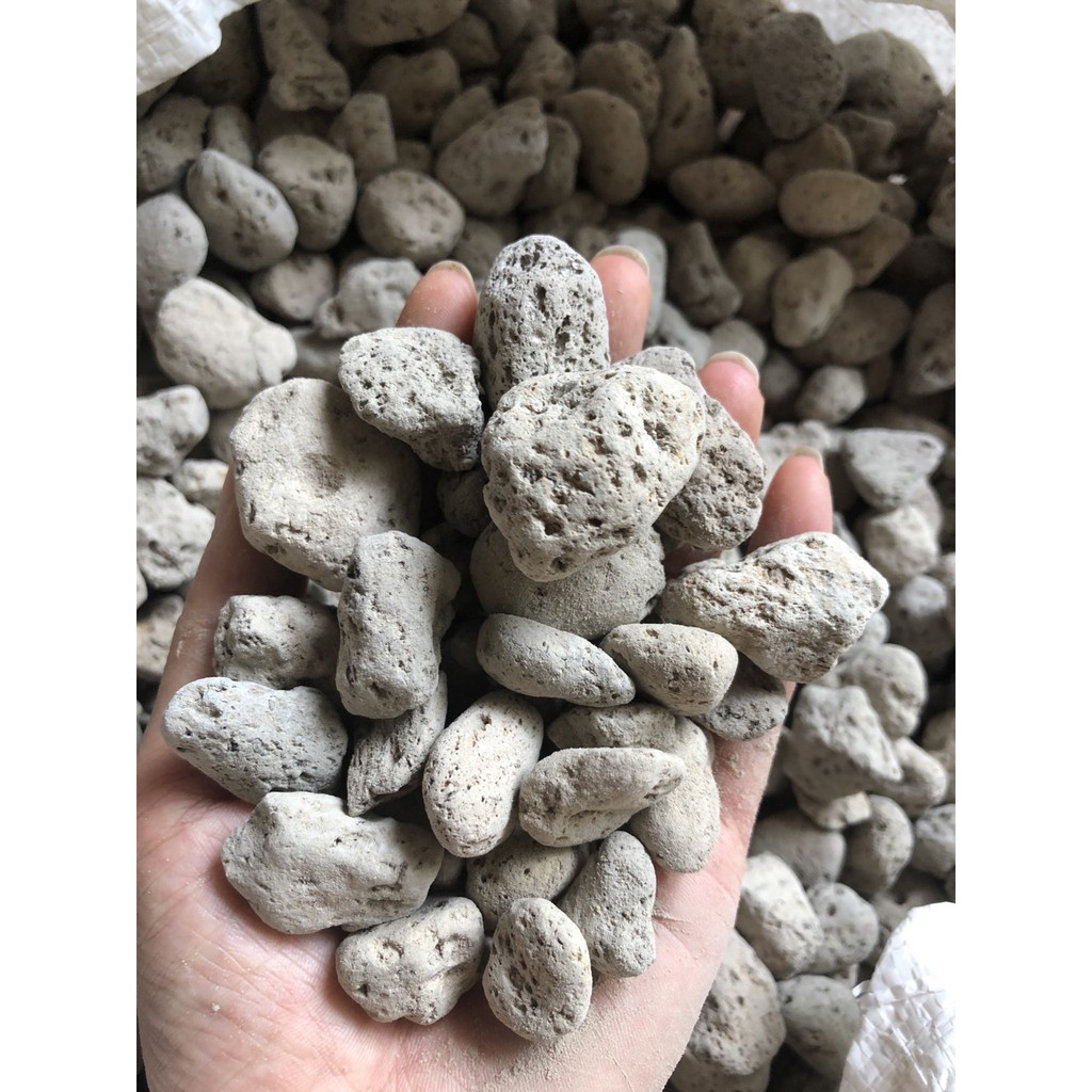 Đá bọt Pumice trồng lan, hồng, cây cảnh, thoát nước tốt, giữ ẩm, nhẹ, xốp, size 1-2 cm (túi 1kg)