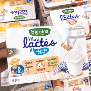 Sữa chua Bledina vỉ 6 hộp