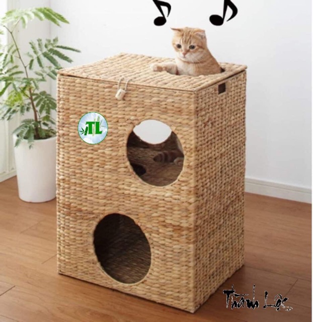 Nhà cho bé mèo đáng yêu,