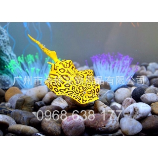 ĐỒ CHƠI ĐUỐI HOA SILICON - PHỤ KIỆN TRANG TRÍ – PHỤ KIỆN HỒ CÁ – THỦY SINH