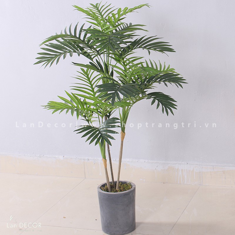 💥 Cây giả Lan Decor - Cây dừa trang trí