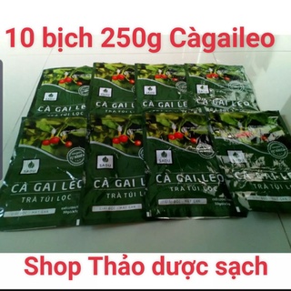 Trà cà gai leo túi lọc Sadu 250g x10 bịch-hỗ trợ các vấn đề về gan