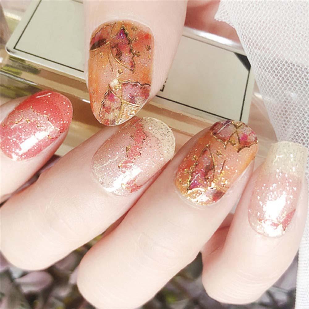 OCEANMAP Set 12 Tấm Khuôn Màu Sắc Gradient Đính Móng Nghệ Thuật