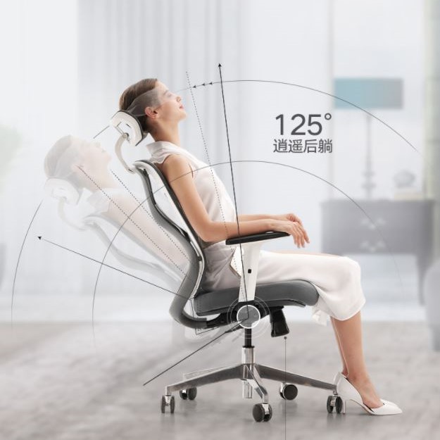 Ghế Văn Phòng Làm Việc Công Thái Học Cao Cấp HBADA Ergonomic Geek (Xiaomi Youpin) - 10 năm bán chạy nhất Tmall