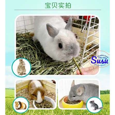 Bánh Cỏ sợi giòn &amp; Dâu đen giúp đẹp lông, chống lão hoá - DR351X - Hàng Dr Bunny - Bản xuất khẩu