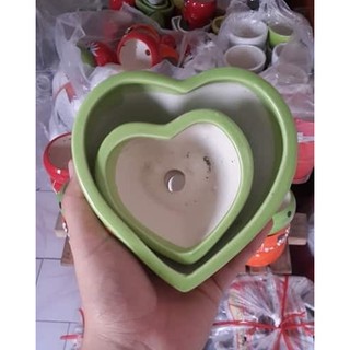 Chậu trồng cây: sứ tim đơn nhỏ
