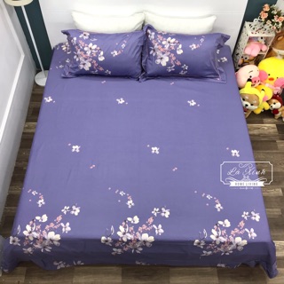 Set Chăn Ga Gối Cotton Lụa !! (ảnh chụp thật)