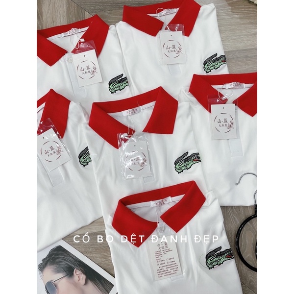Áo Polo cá sấu cổ đỏ hot