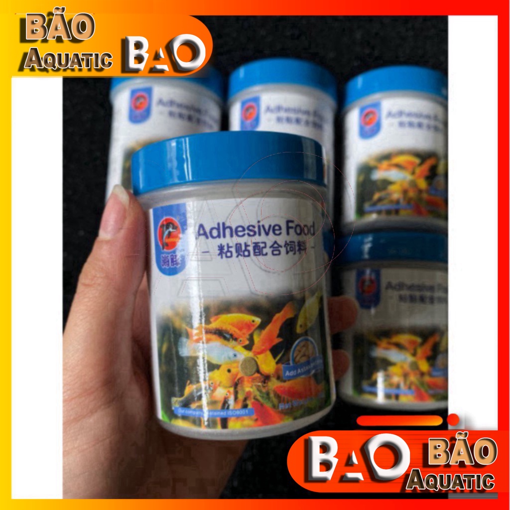 Thức Ăn Dán Kính Cao Cấp Adhesive Food Thức ăn cá cảnh