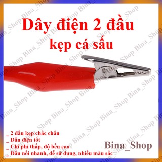 Dây Kẹp Cá Sấu 2 Đầu 45CM