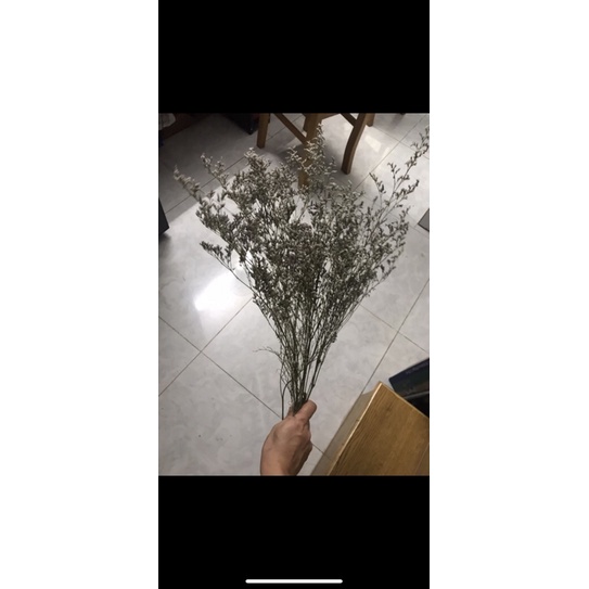 Hoa sao tím khô 50g