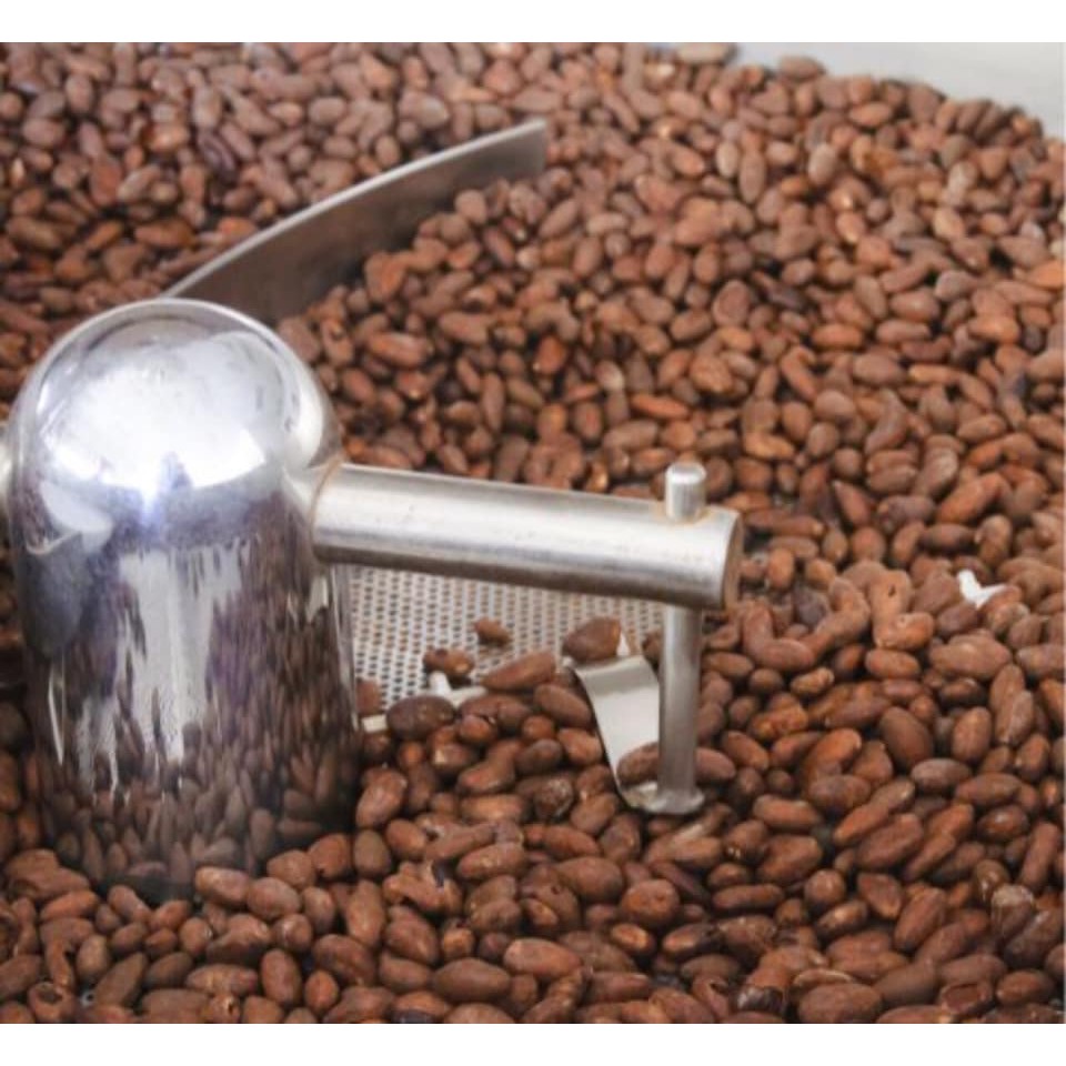 Cacao Đắc Lắc