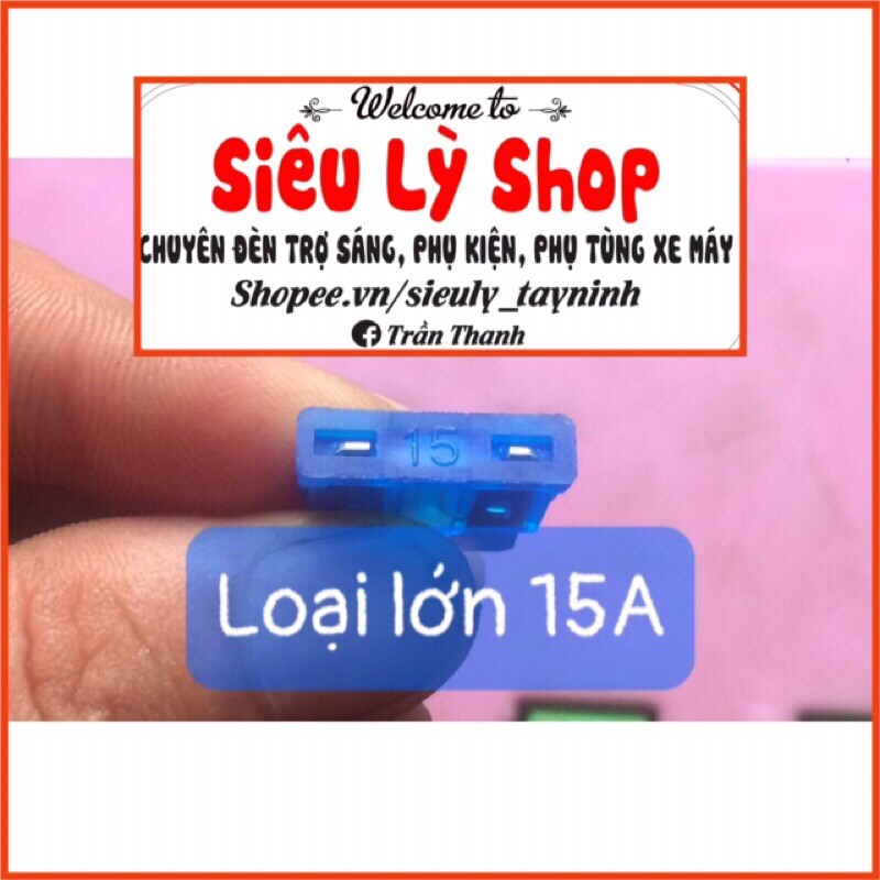 Combo 50 cầu chì loại to 15A