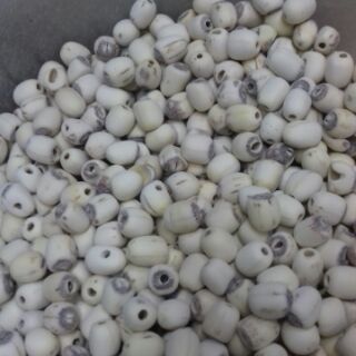 Hạt sen đồng tháp 100g