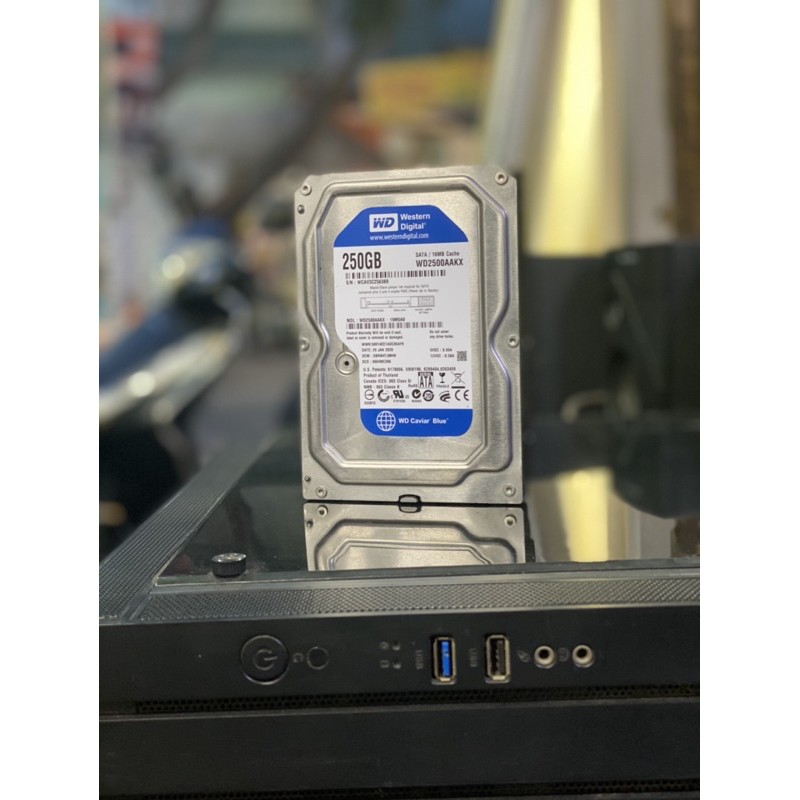 Ổ cứng WD 250GB