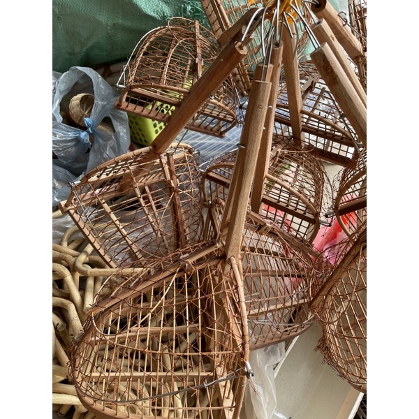 Bẫy cho chim chào mào choè