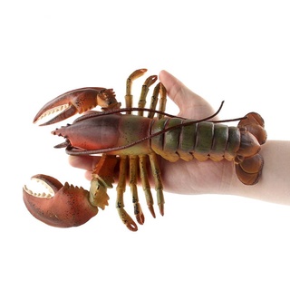 Mô hình tôm hùm đồ chơi cho bé